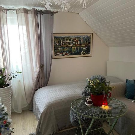 Ferienwohnung Pension Am Berg Филлинген-Швеннинген Экстерьер фото